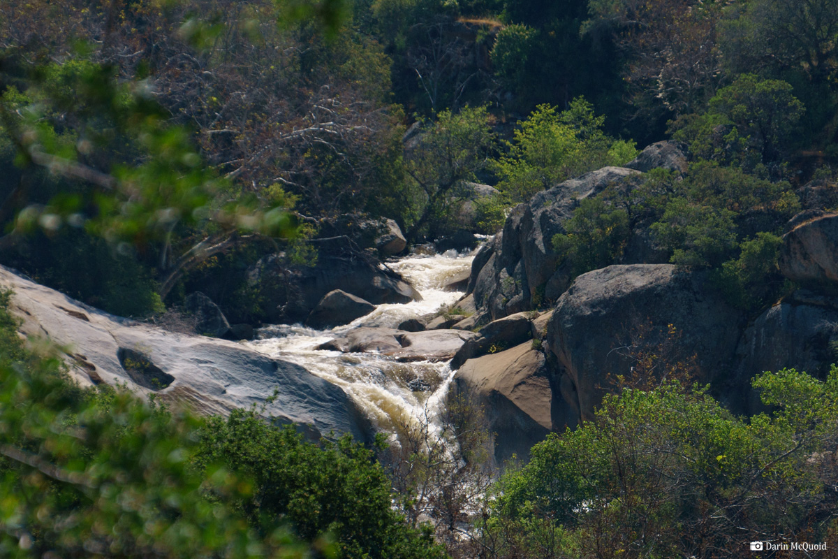 kayak, kayaking, california, cali, paddle, kaweah, river,