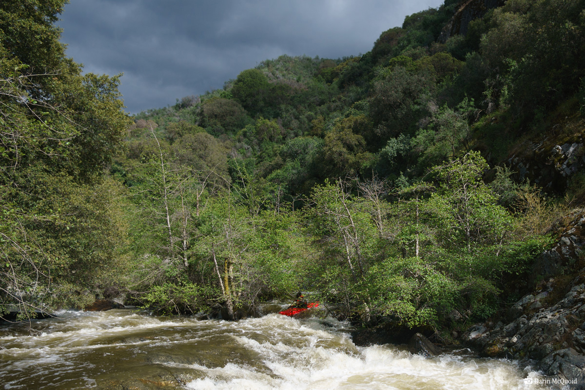 kayak, kayaking, california, cali, paddle, kaweah, river,